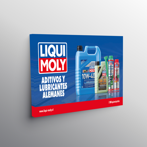 Bastidor con lienzo Liqui Moly 2,0x1,0, 1 Stk