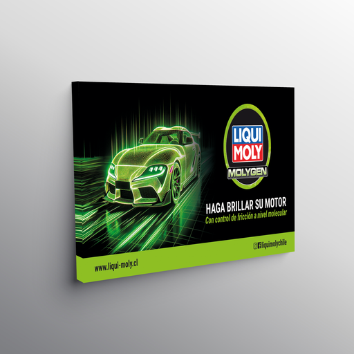 Bastidor con lienzo Liqui Moly Molygen 1,2x0,8, 1 Stk